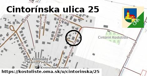 Cintorínska ulica 25, Kostolište