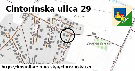 Cintorínska ulica 29, Kostolište