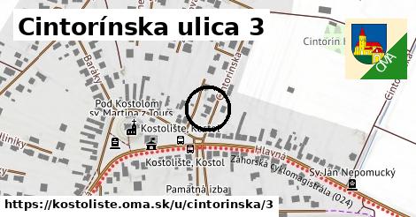 Cintorínska ulica 3, Kostolište