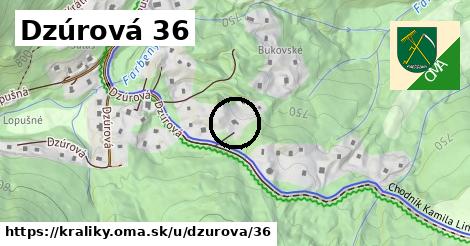 Dzúrová 36, Králiky