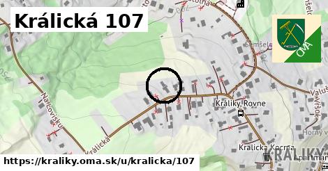 Králická 107, Králiky