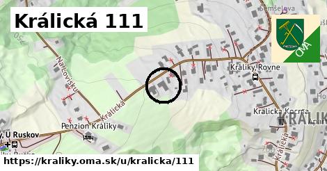 Králická 111, Králiky