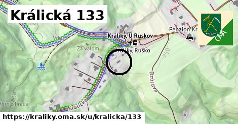 Králická 133, Králiky