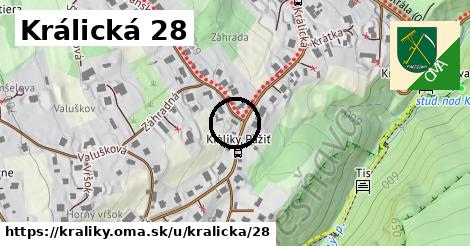 Králická 28, Králiky