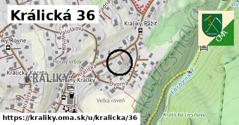 Králická 36, Králiky