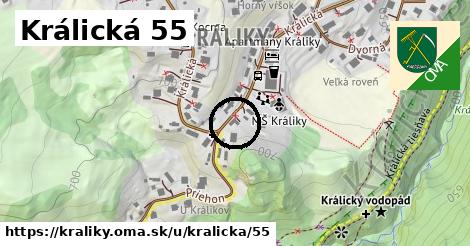 Králická 55, Králiky