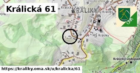 Králická 61, Králiky