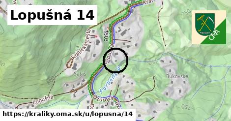 Lopušná 14, Králiky