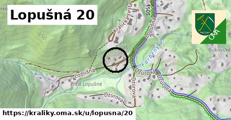 Lopušná 20, Králiky