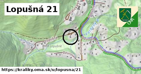 Lopušná 21, Králiky