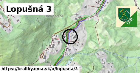 Lopušná 3, Králiky