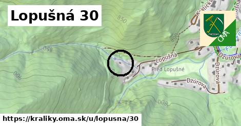 Lopušná 30, Králiky