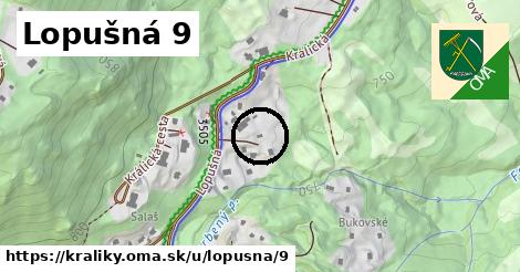 Lopušná 9, Králiky