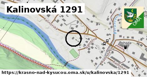 Kalinovská 1291, Krásno nad Kysucou