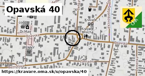 Opavská 40, Kravaře