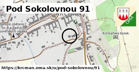 Pod Sokolovnou 91, Krčmaň
