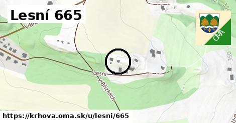 Lesní 665, Krhová