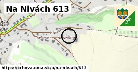 Na Nivách 613, Krhová