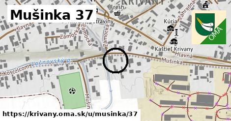 Mušinka 37, Krivany
