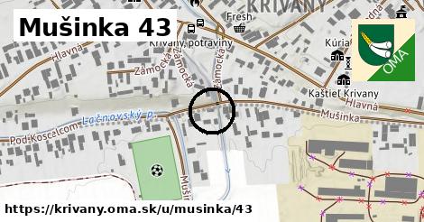 Mušinka 43, Krivany