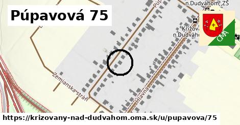 Púpavová 75, Križovany nad Dudváhom