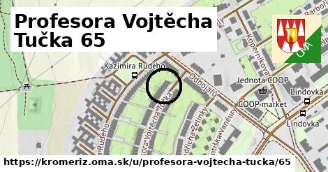 Profesora Vojtěcha Tučka 65, Kroměříž
