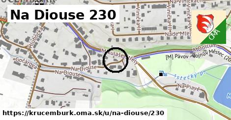 Na Diouse 230, Krucemburk