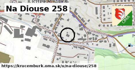 Na Diouse 258, Krucemburk