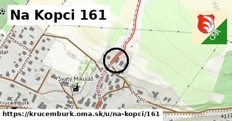 Na Kopci 161, Krucemburk