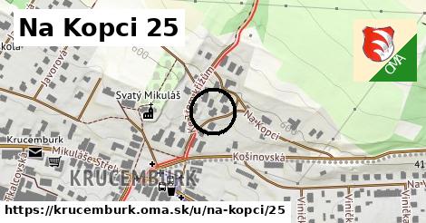 Na Kopci 25, Krucemburk