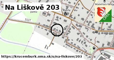 Na Liškově 203, Krucemburk