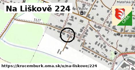 Na Liškově 224, Krucemburk