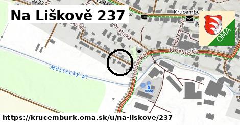 Na Liškově 237, Krucemburk