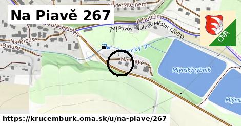 Na Piavě 267, Krucemburk