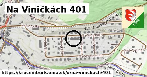 Na Viničkách 401, Krucemburk
