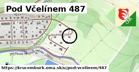 Pod Včelínem 487, Krucemburk