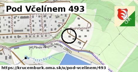 Pod Včelínem 493, Krucemburk