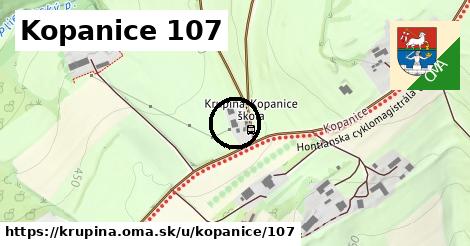 Kopanice 107, Krupina