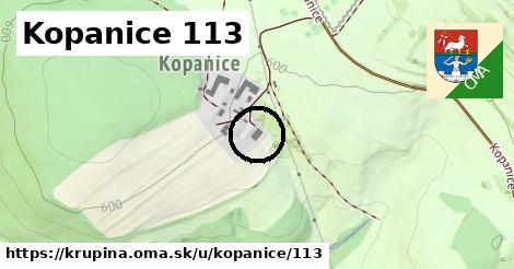 Kopanice 113, Krupina