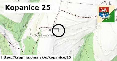 Kopanice 25, Krupina