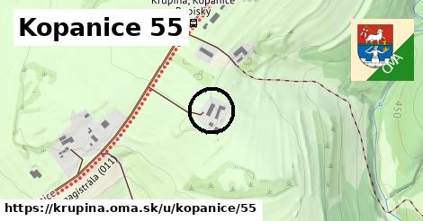 Kopanice 55, Krupina