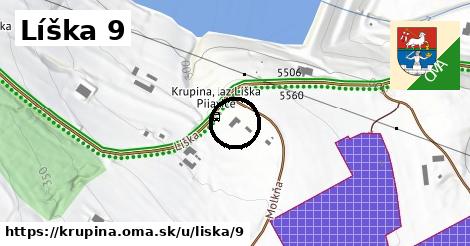 Líška 9, Krupina