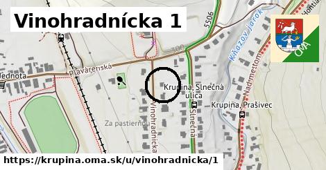 Vinohradnícka 1, Krupina