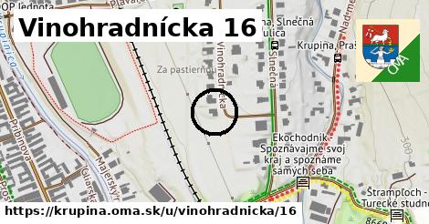 Vinohradnícka 16, Krupina