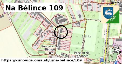 Na Bělince 109, Kunovice