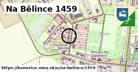 Na Bělince 1459, Kunovice