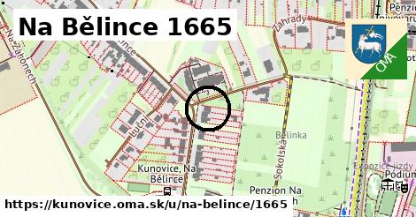 Na Bělince 1665, Kunovice