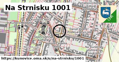 Na Strnisku 1001, Kunovice