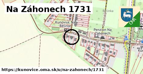 Na Záhonech 1731, Kunovice