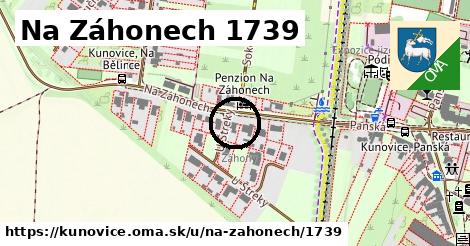 Na Záhonech 1739, Kunovice